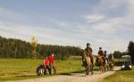 Bauernhof Mentehof - Golfen und Reiten