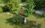 Ferienhaus Drobesch - Garten